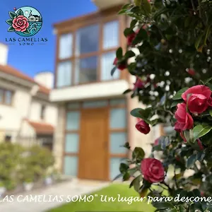Nuevo!!! 5 Min Andando La Playa!! Camelias Reformado Totalmente , Somo España